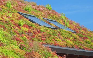 Cheddleton Heath living roof systems